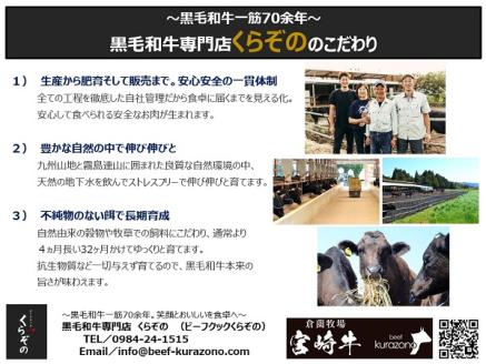 【限定・プレミアムシリーズ】厳選宮崎牛メス指定　Ａ５等級サーロインステーキ　500ｇ（国産 牛肉 国産牛 和牛 黒毛和牛 宮崎牛 霜降り サーロイン ステーキ 焼肉）