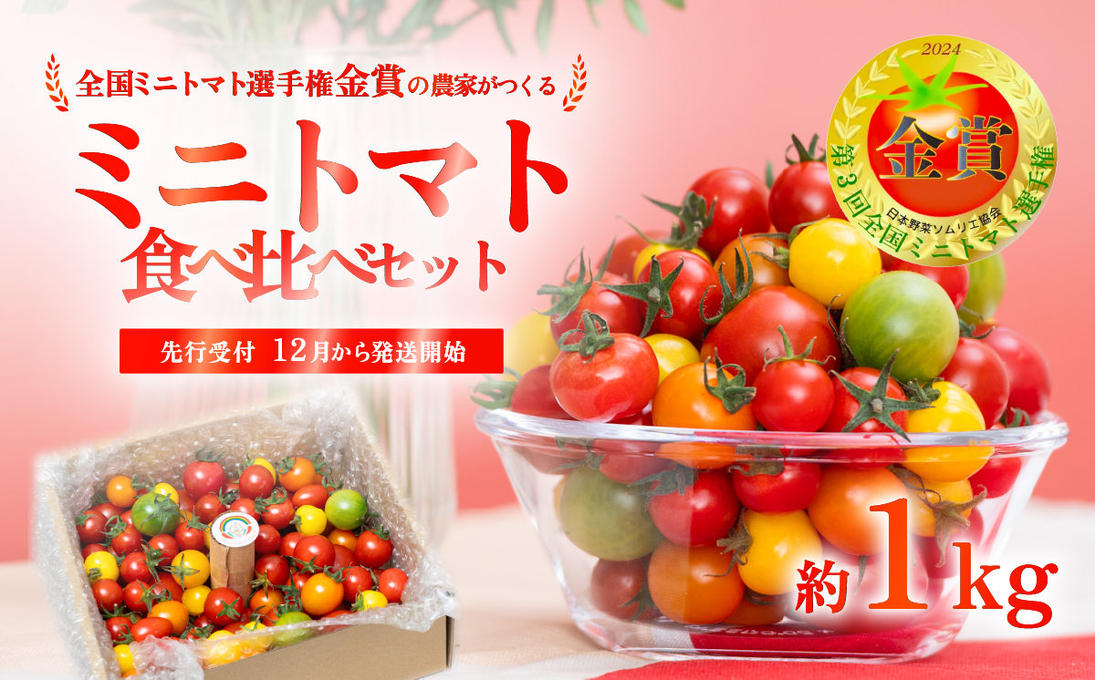 【先行受付】ミニトマト 食べ比べセット 1kg 12月発送 ミニトマト選手権「金賞」農家がつくる【 10種以上 国産 旬 フルーツトマト 高糖度 カラフル 10000円以下 】