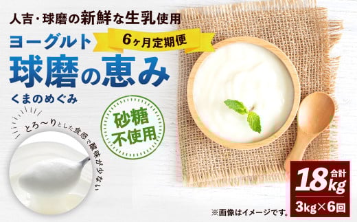 【6ヶ月定期便】 球磨の恵み ヨーグルト (砂糖不使用) 合計 18kg (1kg×3パック)×6回 乳製品 生乳 朝食 おやつ 相良村