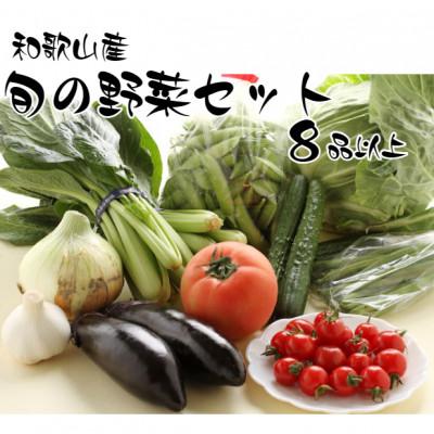 ふるさと納税 印南町 旬の新鮮野菜セット 8種以上【野菜詰め合わせ】