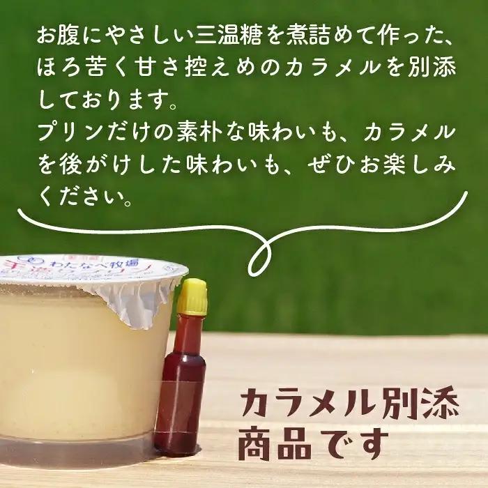 【テレビで紹介されました】手造りプリン6個セット／冷蔵 ネッカ牛乳 ネッカ卵 蒸しプリン ソース別 牧場 スイーツ おいしい ご褒美 おやつ 牧場 搾りたて グルメ お土産 自宅用 ギフト 贈り物 人
