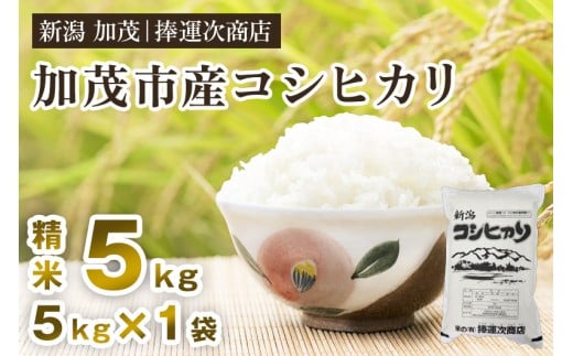 【令和7年産】加茂市産コシヒカリ 精米5kg 《順次出荷》 こしひかり 新潟米 お米 白米 ライス ご飯 加茂市 捧運次商店