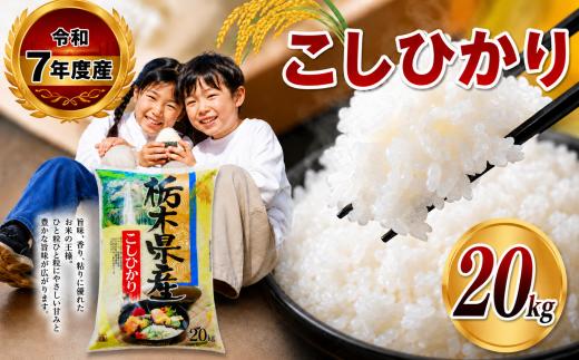 【栃木県共通返礼品】【令和7年度産】栃木県産 こしひかり 白米 5kg × 4袋 （合計20kg） | ふるさと 納税 コシヒカリ お米 精米 白米 玄米 大粒 共通返礼品 送料無料 那珂川町 栃木県
