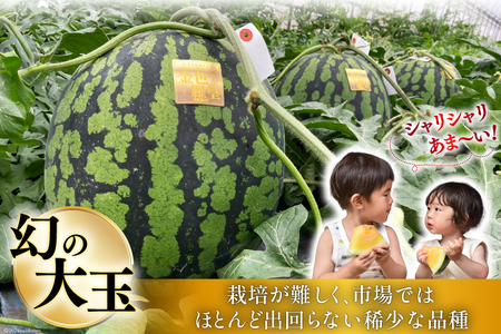 CG075 【令和9年度出荷分】幻のゴールデンスイカ！～金色羅皇（ラオウ）～（7kg以上） ◎