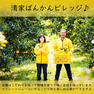 せとか ストレートジュース 3本×1000ml せとかジュース 柑橘 フルーツ スイーツ ジュース 清家ばんかんビレッジ