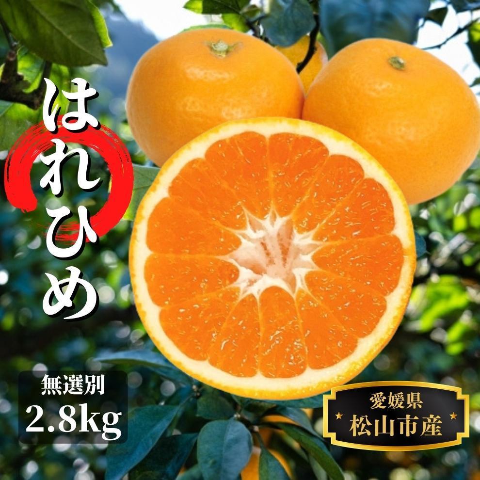 【ふるさと納税】 【先行予約】 みかん はれひめ 無選別 約2.8kg 12月～1月頭頃発送 | 愛媛 みかん 先行予約 蜜柑 柑橘 果物 くだもの フルーツ お取り寄せ グルメ 期間限定 数量限定 人気 おすすめ 愛媛県 松山市