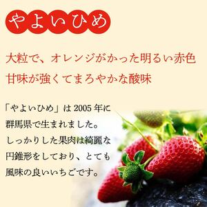 訳あり いちご やよいひめ 計 1840g 果物 フルーツ やよい姫 家庭用 甘い 先行予約 農家直送 徳島県 阿波市