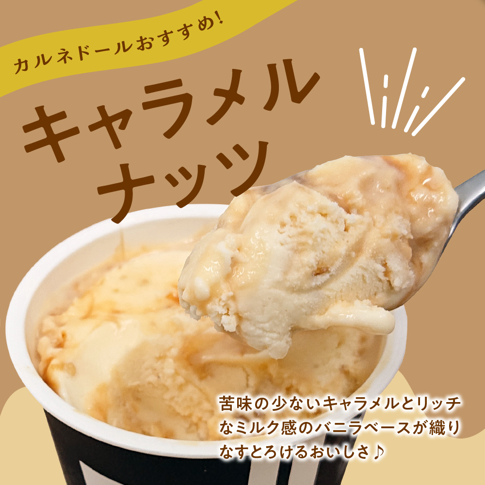 アイス　洋菓子店自慢のお手製アイス 100ml×10個入(7種) ）(バニラ 抹茶 キャラメル ミルクティー いちご 小倉 フランボワーズ)【 お菓子 スイーツ アイス アイスクリーム ラクトアイス 