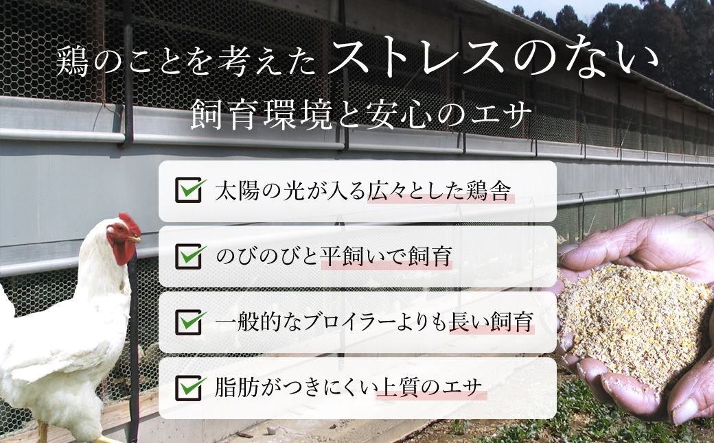【訳あり】水郷どり切り落とし(もも肉・むね肉ミックス)　3kg(1kg×3袋)/鶏肉専門店「水郷のとりやさん」 / KTRJ019 / もも肉 胸肉 鶏肉 とりにく もも むね肉 肉 とりにく 鳥 鳥