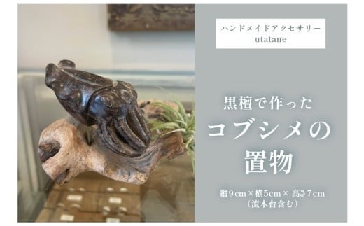 
            『黒檀で作ったコブシメの置物』（DM003）
          
