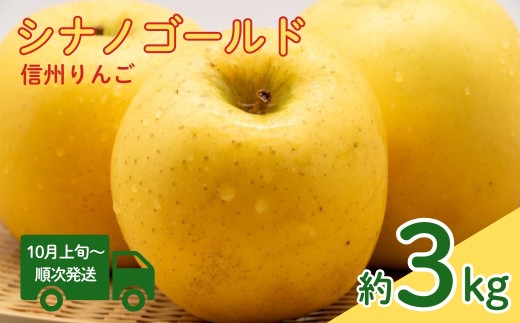 【2026年先行予約】シナノゴールド 約3kg| 林檎 リンゴ アップル 果物 くだもの フルーツ 3キロ お取り寄せ 産地直送 長野県産 信州林檎 信州りんご 信州 長野 千曲市