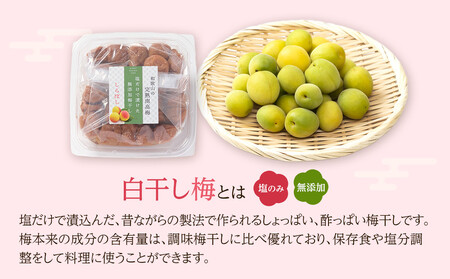 梅干し しらぼし梅  約800g（約400g×2） 塩のみ 無添加 大粒 紀州南高梅 塩分約15％ 和歌山県産 [ 定期便 毎月発送・全3回 ]