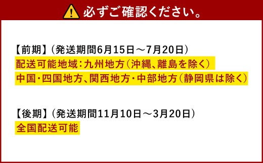 幸福堂 特選車海老 「 八幡瀬戸 」 約250g （ 8尾前後 ） 車海老 海老 エビ えび 車エビ 車えび 魚介 魚介類 海鮮 贈答 贈答用 国産 【 2026年11月15日以降2027年3月20日