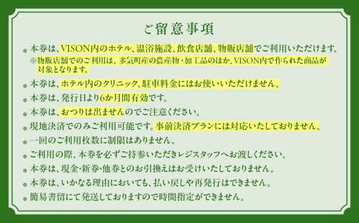 日本最大級の商業リゾート VISON 施設利用券 90,000円分  VT-103_イメージ5