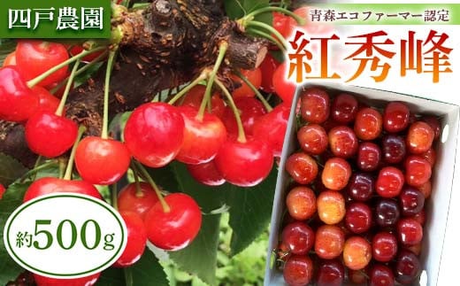 《農家直送》さくらんぼ「紅秀峰」 バラ詰め 約500g【四戸農園】フルーツ王国 フルーツ 旬 果物 さくらんぼ サクランボ チェリー 青森県 南部町 三戸 南部 F21U-310