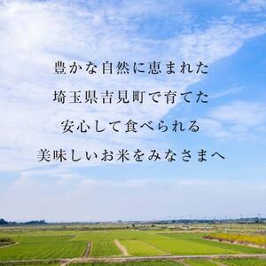 【令和7年産】埼玉県比企郡吉見町産 コシヒカリ【精米】10kg