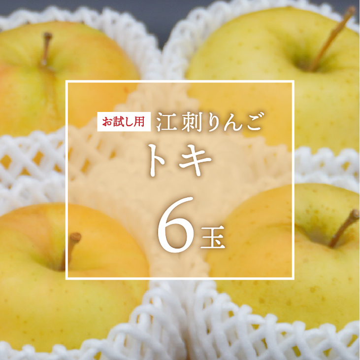 お試し用　江刺りんご「トキ」6玉 離島配送不可[AQ091]