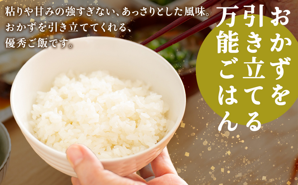 【定期便6カ月】北海道産ななつぼし　5kg×2　計10kg 【配送不可地域：離島・沖縄県】