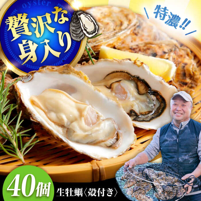 【ふるさと納税】高品質の牡蠣を産地直送！ 【生牡蠣】【着日指定可能】『てつまるかき』牡蠣 殻付き 40個 加熱用 かき 海鮮 海産物 簡単 広島県産 江田島市/有限会社テツマル海産[XCO008]