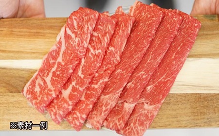 化学調味料不使用【淡路牛玉ねぎカレー（中辛）】10個セット