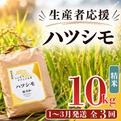 
                  ＜発送月固定定期便＞＜先行予約＞生産者応援!岐阜県産ハツシモ(精米)10kg＜1～3月発送＞全3回【4089358】
                