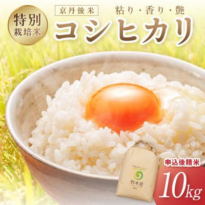 ふるさと納税 京丹後市 京丹後米　特別栽培米コシヒカリ 10kg