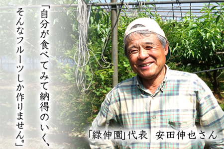 梨 熊本県産 旬の梨 約3kg 先行予約 緑伸園 熊本 梨
