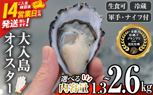 
                  ＼牡蠣1グランプリ最高金賞受賞／ 真ガキ 大入島オイスター＜内容量が選べる(約1.3kg・約2.6kg)＞ 牡蠣 かき カキ 貝 海鮮 魚介類 冷蔵 生食可 真牡蠣 シングルシード 養殖 殻付き スピード発送【ED08・ED09】【(合)新栄丸】
                