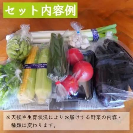 【発送月固定定期便】遠野ふるさと野菜便 野菜ソムリエ 厳選 詰め合わせセット 岩手県遠野市全9回【配送不可地域：離島】【4092654】
