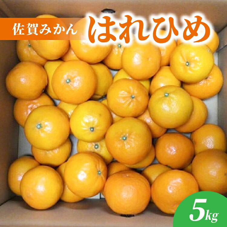 【ふるさと納税】はれひめ 5kg 佐賀 みかん_b-499
