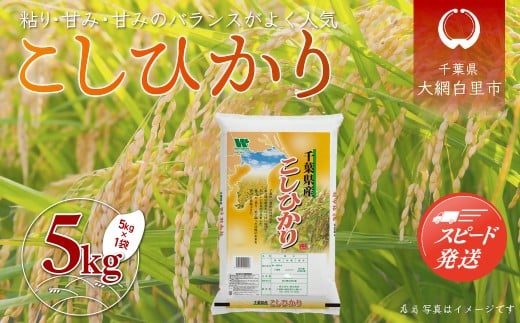 令和6年産 千葉県産「コシヒカリ」5kg（5kg×1袋） お米 5kg 千葉県産 大網白里市 コシヒカリ 米 精米 こめ 送料無料 A054