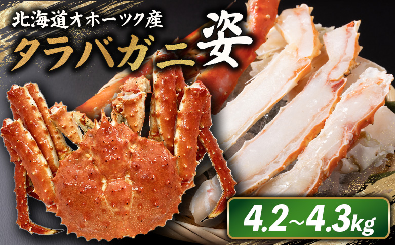 北海道オホーツク産 冷タラバガニ姿　4.2～4.3kg【12415】