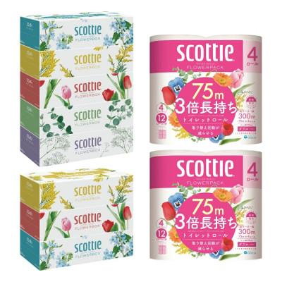 ふるさと納税 八代市 【スコッティ】ティシュー5箱P×1セット+3箱P×1セット+トイレット4ロール(ダブル)P×2セット |  | 01