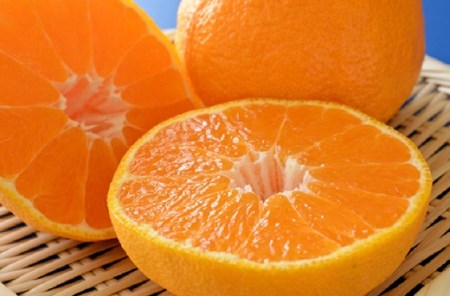 【大人気】和歌山有田の濃厚大玉デコポン　12～15玉(約5kg)※2025年1月中旬～3月下旬（順次発送予定）【ard006C】