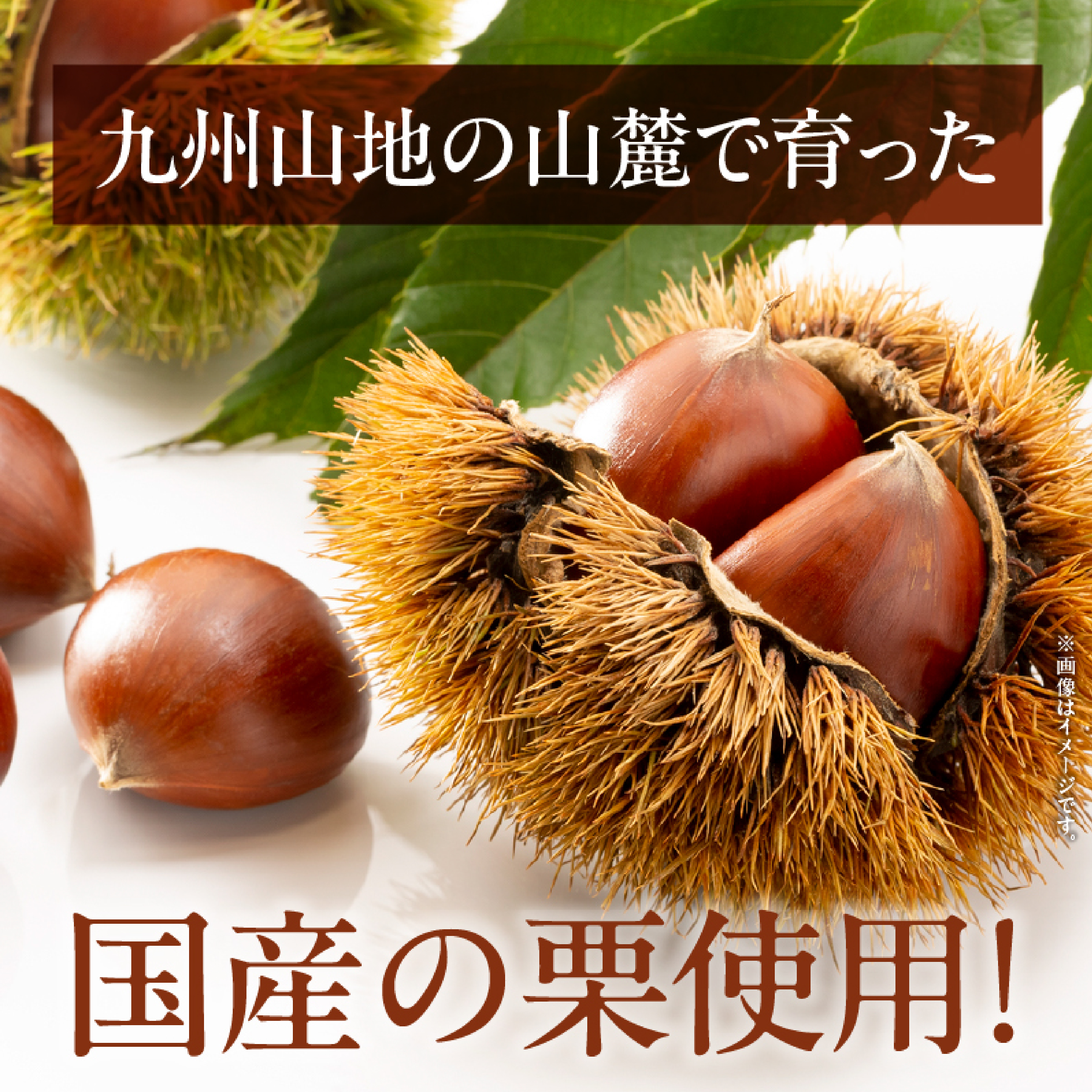 須木栗マロングラッセ<100g×2箱：すき特産>（菓子 焼き菓子  スイーツ 栗 マロングラッセ  小分け お土産）_イメージ3