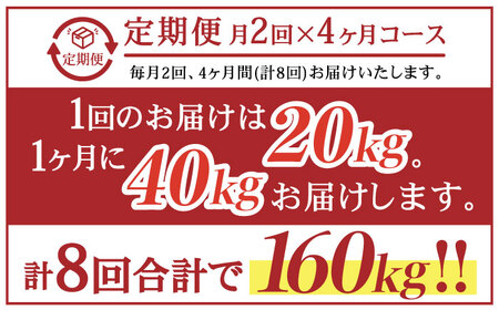 【月2回×4ヵ月定期便】薪 20kg月2回×4ヵ月 計8回お届け 火持ちがする 広葉樹 キャンプ[OBT008]