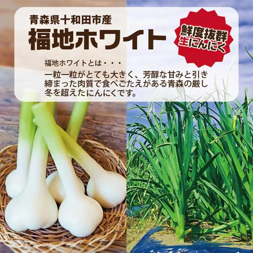 《定期便6ヶ月》生にんにくで作った黒にんにく（熟成黒にんにく）黒丸300g 約1ヶ月分