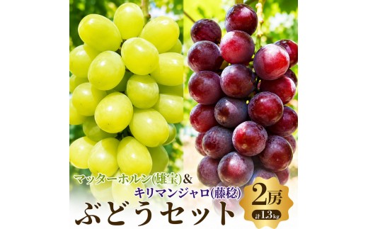 ぶどう マッターホルン 雄宝 キリマンジャロ 藤稔 先行予約 数量限定 2種 2房 超大粒ぶどう 食べ比べ 皮ごと 高糖度 大阪産 ブドウ 葡萄 フルーツ 果物 大阪府 岸和田市 あさつゆ愛のぶどう園