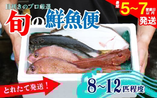 鮮魚 旬 獲れたて セット [8～12匹] 鮮魚便 海鮮 魚貝類 魚介類 鮮魚 旬 獲れたて セット 詰め合わせ さかな おさかな 魚 海の幸 福袋 FISH ごはん 夕飯 おかず 今が旬 刺身 刺し身 おつまみ 晩酌 米 丼 三陸産 岩手県 大船渡市