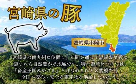 ＜2025年9月発送分＞宮崎県産 豚肉詰め合わせセット 合計4kg
