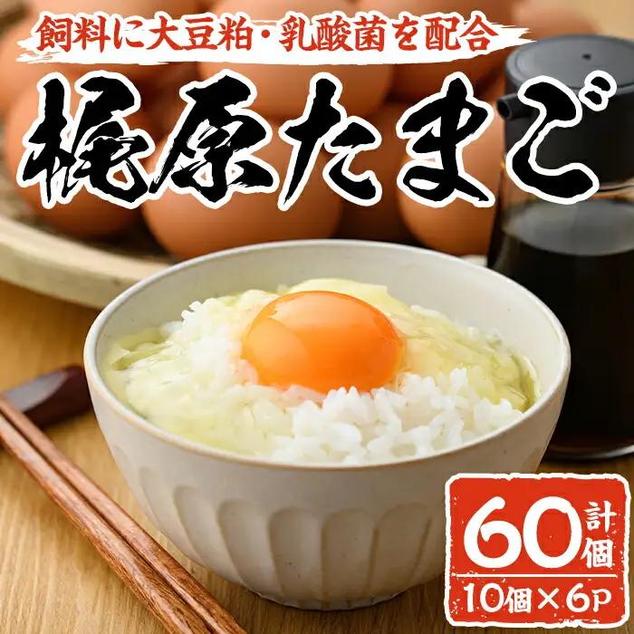 梶原たまご(計60個・10個×6P)卵 玉子 鶏卵 卵かけご飯 玉子焼き【108800200】【カジワラファーム】