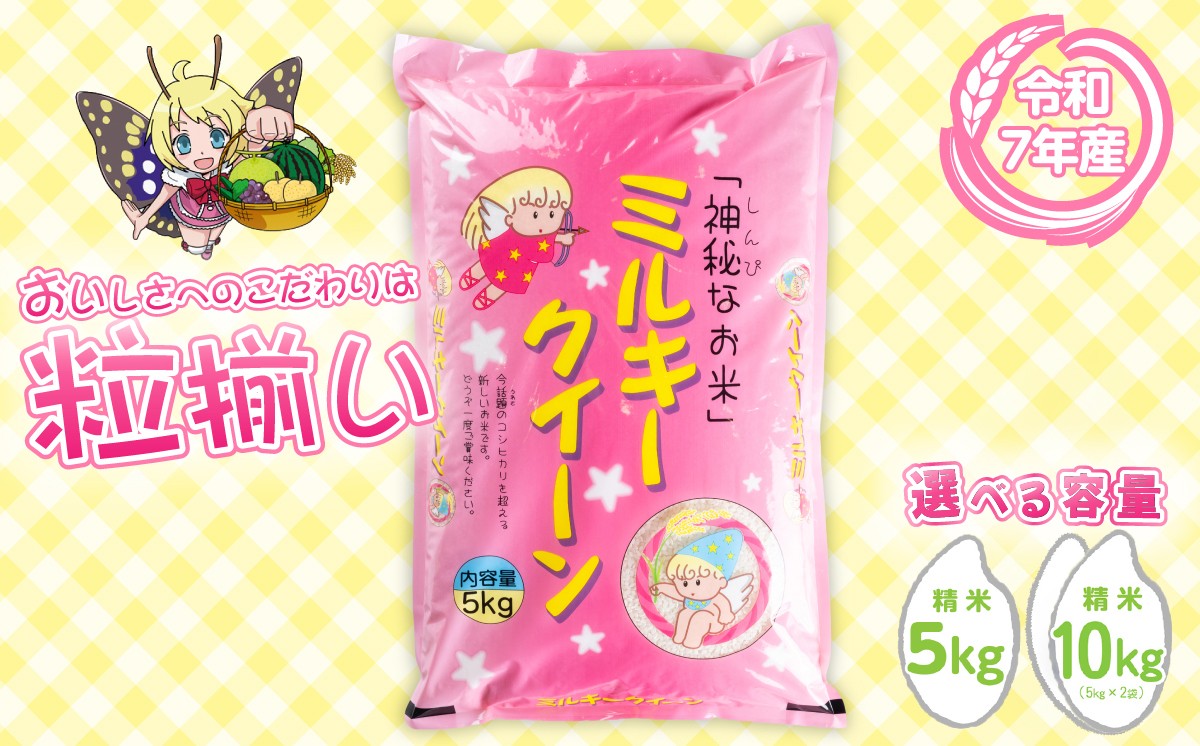 
                  【最短7日発送】〔選べる容量・発送月〕ミルキークイーン 5kg 10kg 茨城県下妻市産 【 お米 米 白米 ご飯 こめ ミルキークイーン 令和7年産 茨城県産 】
                