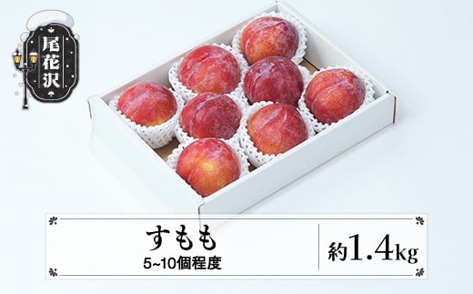 
            先行予約 令和7年産 すもも 秋姫 果物 秀品 約1.4kg (5~10個程度) 9月中旬~10月上旬頃発送 山形県産 フルーツ 果物 くだもの スモモ 李 もも モモ 2025年産 令和7年産 佐竹物産 送料無料 sb-plahx1400 ※沖縄・離島への配送不可
          
