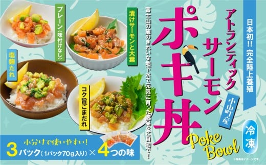 日本初 完全陸上養殖 小山町産 アトランティックサーモン 冷凍 ポキ丼 （ 食べ比べ セット 70g × 3パック × 4つの味 ） | サーモン 刺身 海鮮丼 海鮮 魚介 アボカド さーもん 小分け 真空パック 人気 おすすめ ランキング リピート 国産 静岡県 小山町