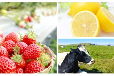  無添加 手作り苺ミルクジャム　160g × ３本セット　KA-9