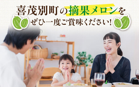 【7月下旬以降順次発送】　摘果メロン 1.8kg　《喜茂別町》【久保田農園】メロン 子メロン ベビーメロン 漬物 野菜 旬 果物 先行予約 フルーツ[AJAM012]