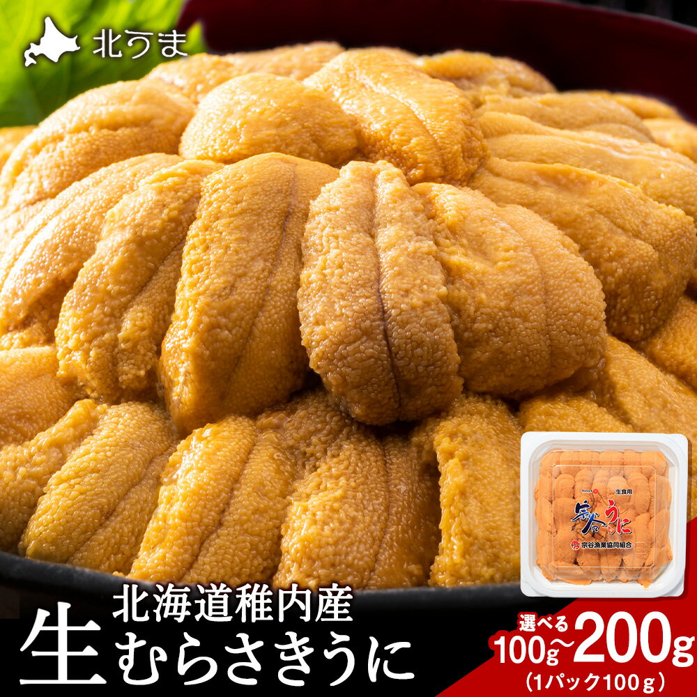 【ふるさと納税】【うにの名産地稚内市】最北端の生むらさきうに 選べる100g～200g (1パック100g) うに ウニ 雲丹 むらさきうに ムラサキウニ 海鮮 魚介 生ウニ 小分け 北海道ふるさと納税 稚内 ふるさと納税 北海道 【配送不可地域：離島・沖縄県】
