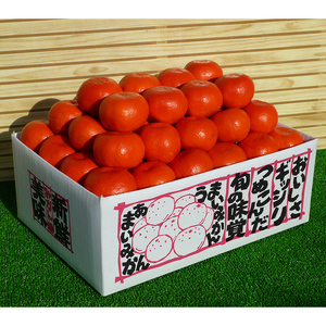 香川県のオリジナル品種 小原紅早生みかん約 5kg フルーツ 果物類 柑橘類  FAH-0137