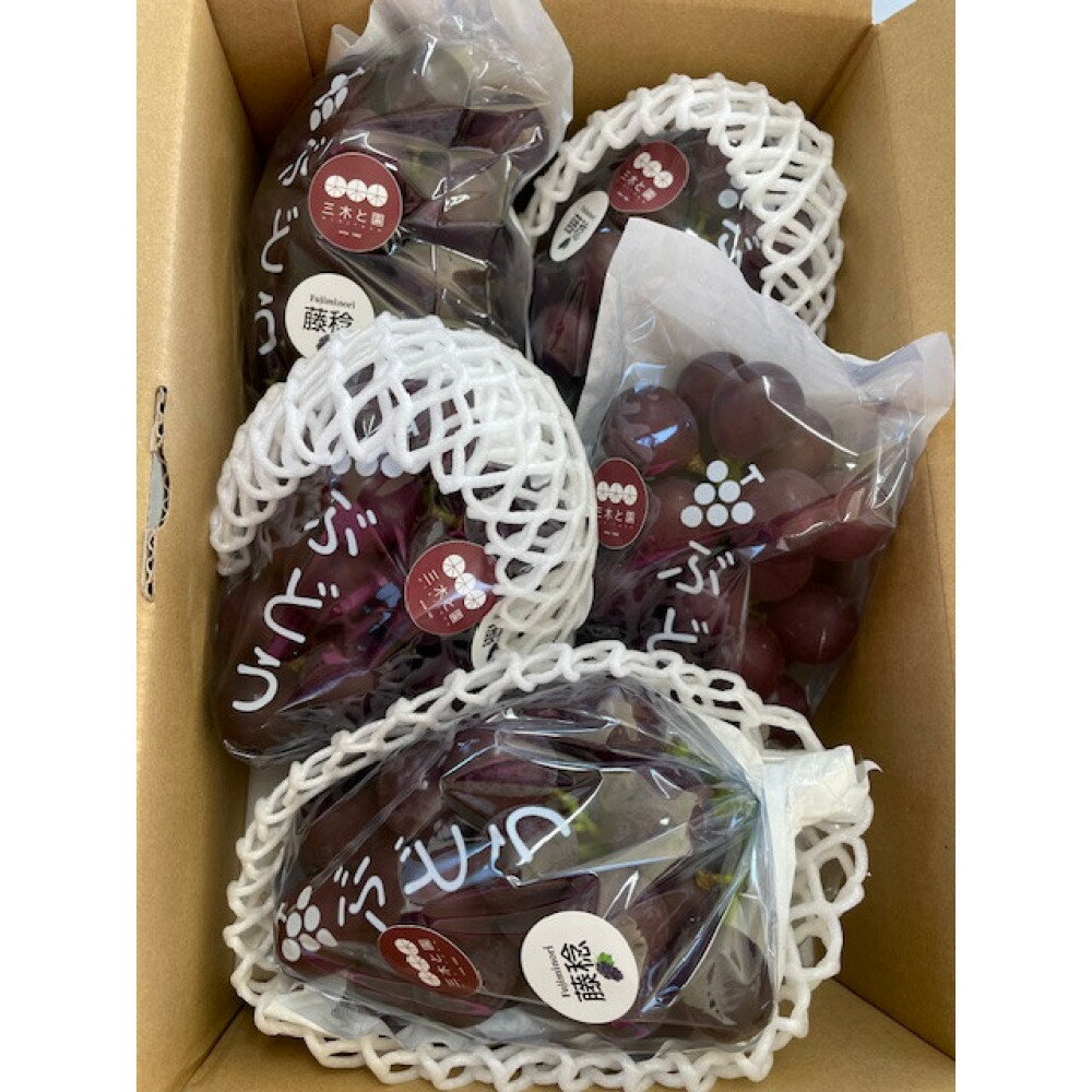 【ふるさと納税】【先行予約】有田巨峰村三木と園のあま～いジューシー！ 種あり 藤稔（ふじみのり）2kg(4〜6房) | フルーツ 果物 くだもの 食品 人気 おすすめ 送料無料