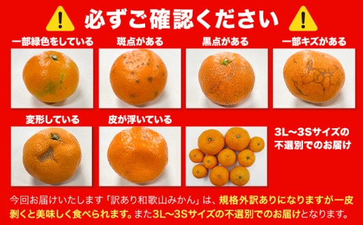 訳あり みかん (3S～3L) 約10kg《10月上旬‐12月下旬頃に発送(土日祝を除く)》和歌山県 日高町 果物 フルーツ 訳あり みかん 家庭用 お試し 大容量 送料無料